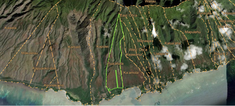 State seeks comment on Puaʻahala forest management plan
